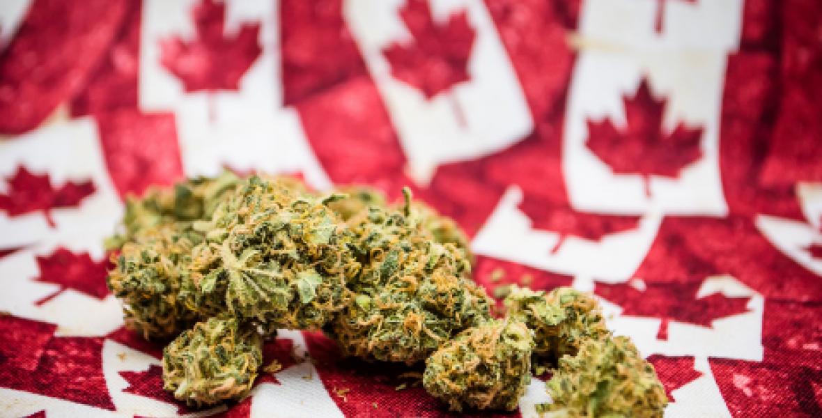 Canadian Cannabis Web Image