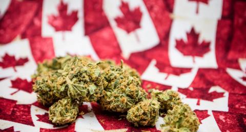 Canadian Cannabis Web Image
